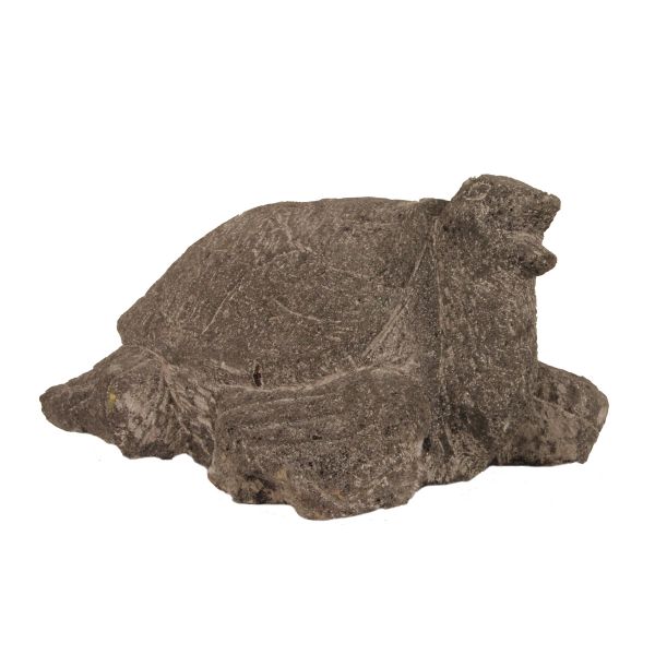 Schildkröte Lavastein